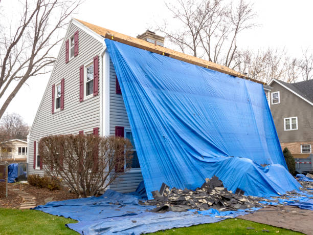 Best Storm Damage Siding Repair  in Shawneetown, IL