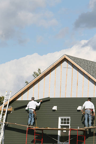 Best Custom Siding Design  in Shawneetown, IL